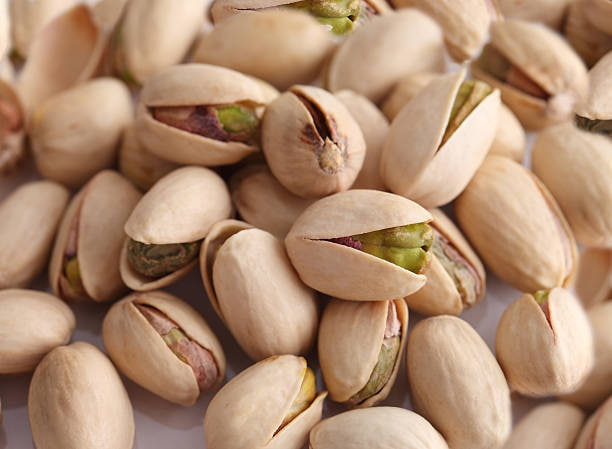 قیمت خرید پسته اکبری عمده + فروش ویژه